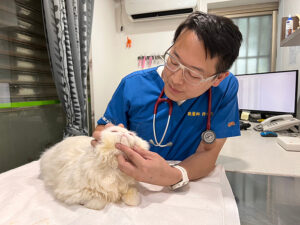 毛孩中秋餵食注意！法國皇家與獸醫師教你如何不踩雷！